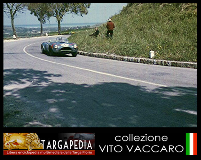 PHOTOGALLERY TARGA FLORIO 1964/TARGA FLORIO 1964 - AC COBRA/146 AC ...